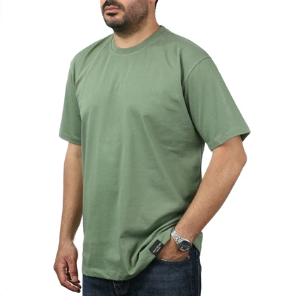 تیشرت آستین کوتاه مردانه کاکتوس مدل 2518430