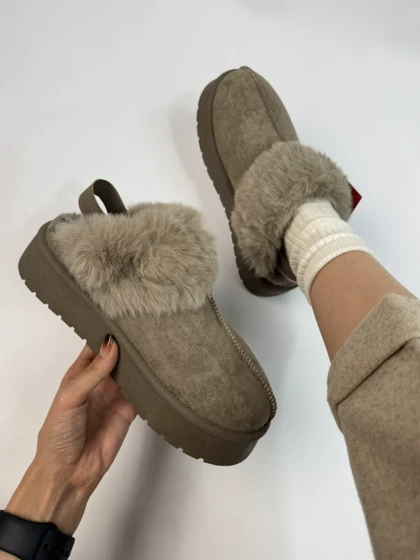 آگ پشت کش خزدار 2384