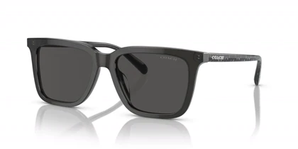 عینک آفتابی کوچ Coach HC8385U