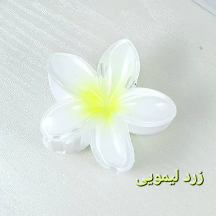 کلیپس مو زنانه مدل پلومریا بزرگ 8 سانتی متری کد G_Lnd1467