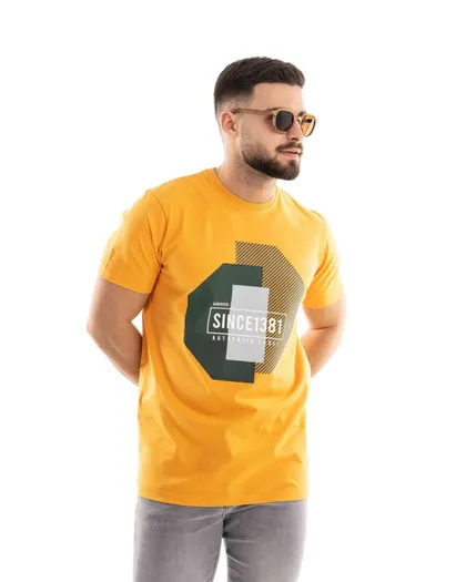 تیشرت مردانه طرح دار 2087