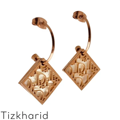 گوشواره استیل مارک دیور Dior