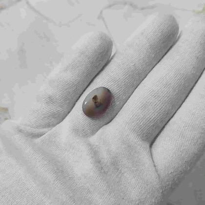 عقیق شجر قائن اصل کد 23