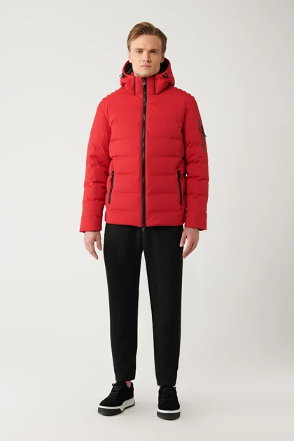 کت و کاپشن مردانه اوا avva