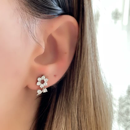 گلگوش های میخی ژوپینگ