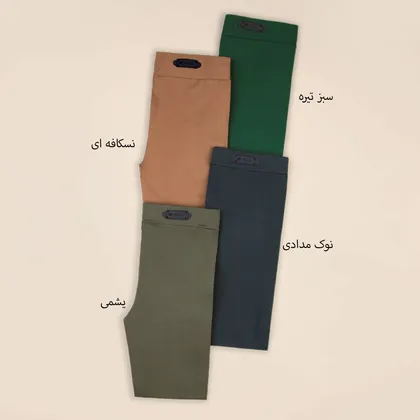 لگ رنگی گیسا