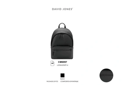 کوله پشتی مدل David Jones CM6997
