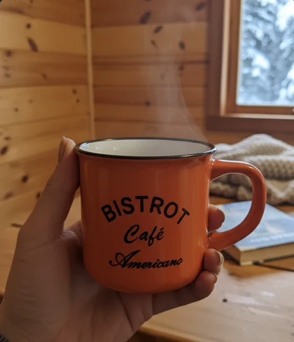 ماگ سرامیکی طرح دار BISTROT