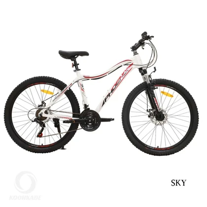 دوچرخه کوهستان فونیکس PHOENIX سایز 20 اینچ 21 دنده مدلZK100