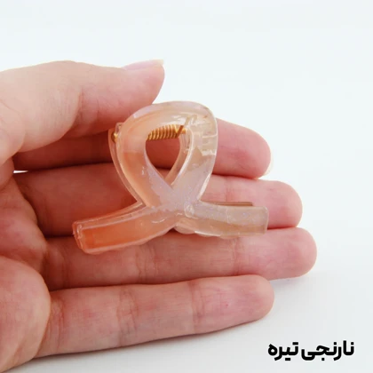 کلیپس دخترانه مدل پیچی کوچک دو رنگ