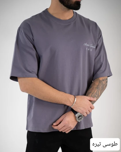 تیشرت مردانه بیسیک هانی_کد4719