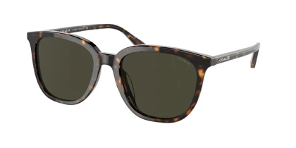 عینک آفتابی کوچ Coach HC8338U