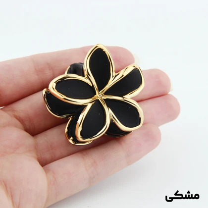 کلیپس دخترانه مدل پلومریا دور طلایی