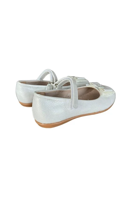 کالج بچگانه liger liger