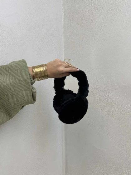 گوش گیر