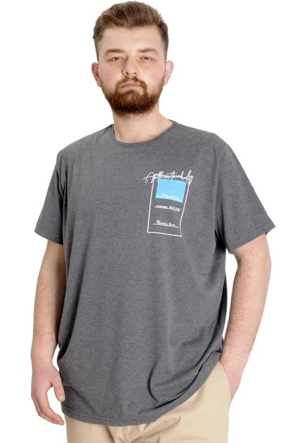 تیشرت سایز بزرگ مردانه modexl