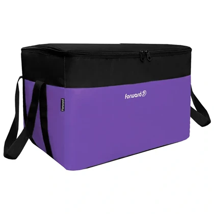 ساک پیک نیک مسافرتی فوروارد مدل FORWARD - FCLT44102