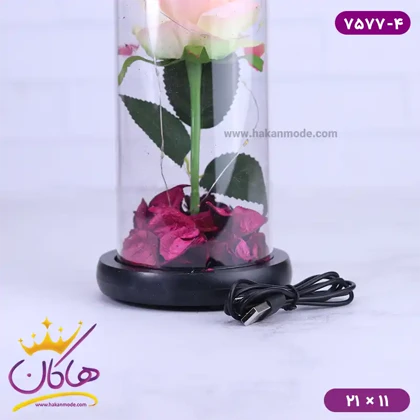 حباب شیشه ای چراغ دار گل صورتی همراه با کابل 7577/4