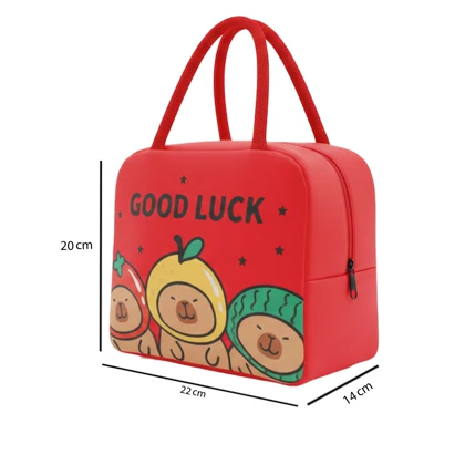 لانچ بگ طرح خرس میوه ای