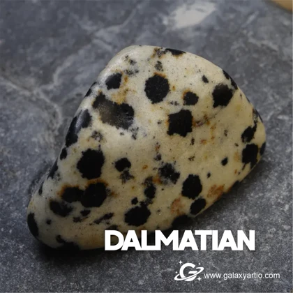 دستبند جاسپر دالماتیان