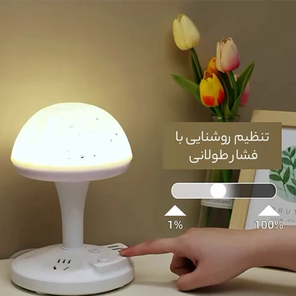 چند راهی برق و چراغ خواب رومیزی