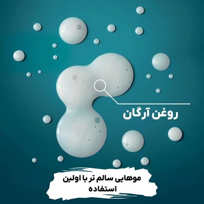 شامپو تقویت کننده و مرطوب‌کننده او جی ایکس, مدل Argan Oil Of Morocco مناسب موهای خشک و آسیب‌دیده حجم 385ml