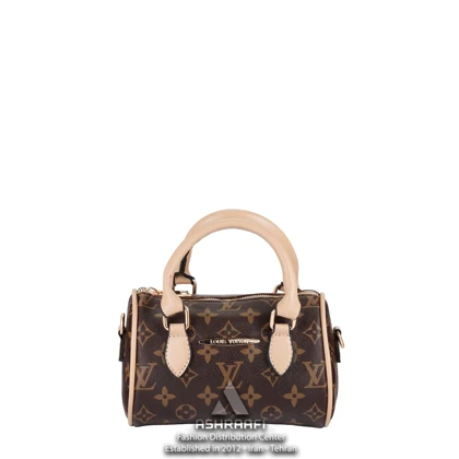 کیف دستی لویی ویتون Louis Vuitton HandBag A02