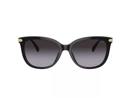 عینک آفتابی کوچ Coach HC8378U