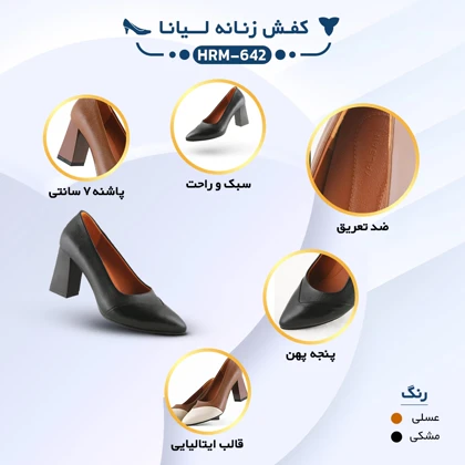 ست کیف و کفش زنانه چرم یلسان مدل آلندا کد 923-LIYANA-HRM