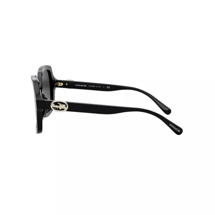 عینک آفتابی کوچ Coach HC8295