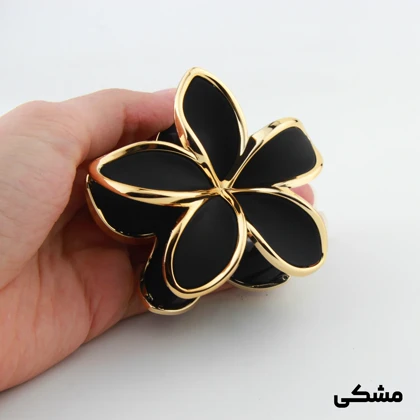 کلیپس دخترانه مدل پلومریا دور طلایی بزرگ