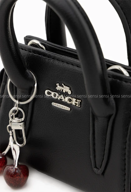 کیف زنانه coachگیلاس کد1006469