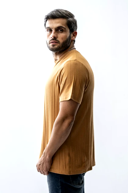 تیشرت بیسیک ژاکارد مردانه