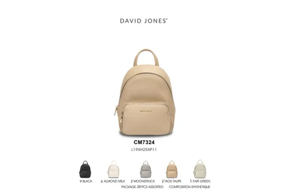 کوله پشتی مدل David Jones CM7324