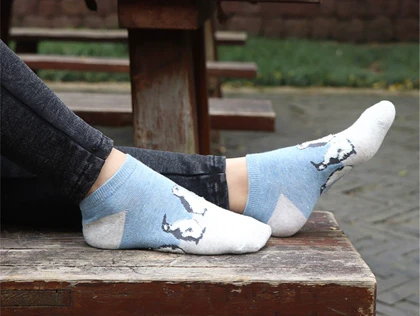 جوراب مچی پنگوئن