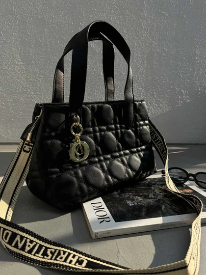 کیف DIOR پلاک دار