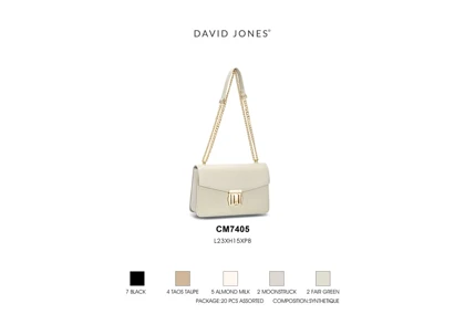 کیف دوشی مدل David Jones CM7405