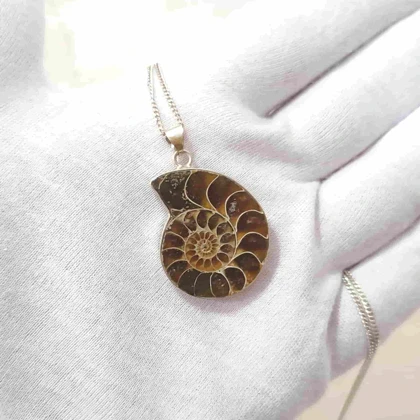 گردنبند نقره با فسیل آمونیت طبیعی اصل کد 62 (بدون زنجیر)
