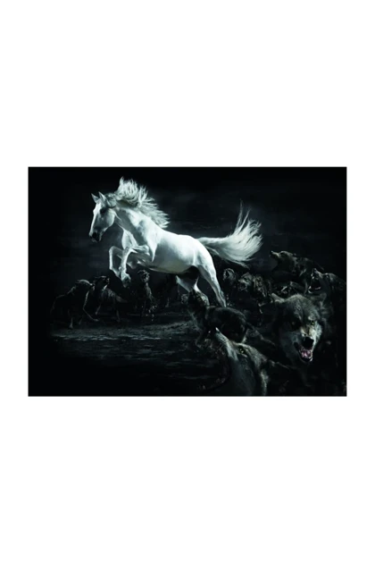 تیشرت سایز بزرگ مردانه lifeguard