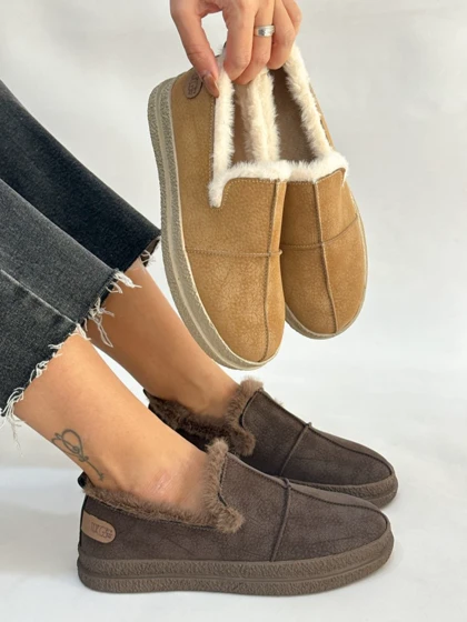 کالج لبه خزدار 2506