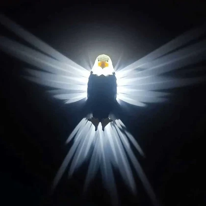 چراغ خواب دیواری سه بعدی طرح عقاب Eagle با قابلیت کنترل از راه دور