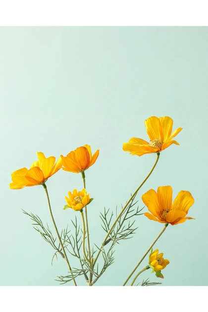 گل مصنوعی تک‌شاخه English Home مدل Daisy