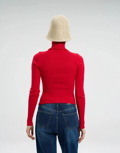 یقه اسکی بیسیک