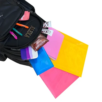 کوله پشتی الکسا مدل ALEXA - ALX1007