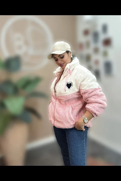 تدی مدل قلبی