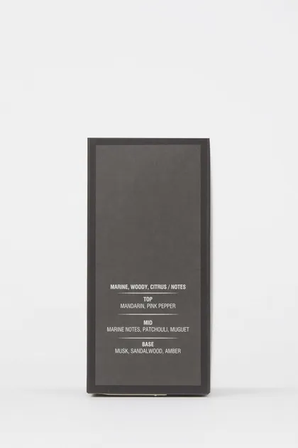 عطر مردانه آروماتیک خاکستری آهنی 100 میلی لیتری TYC00456888912