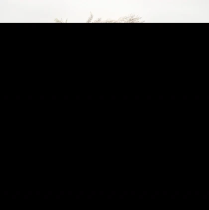 کیف دوشی زنانه طرح کروسان کد 1447