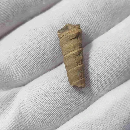 عرج سواحلی
