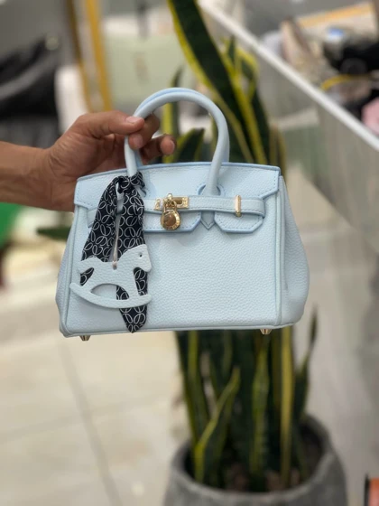 کیف دستی پانیذ