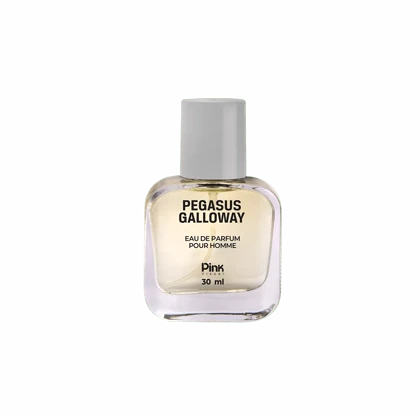 عطر جیبی مردانه پینک ویژوآل مدل Pegasus Galloway حجم 30 میلی لیتر